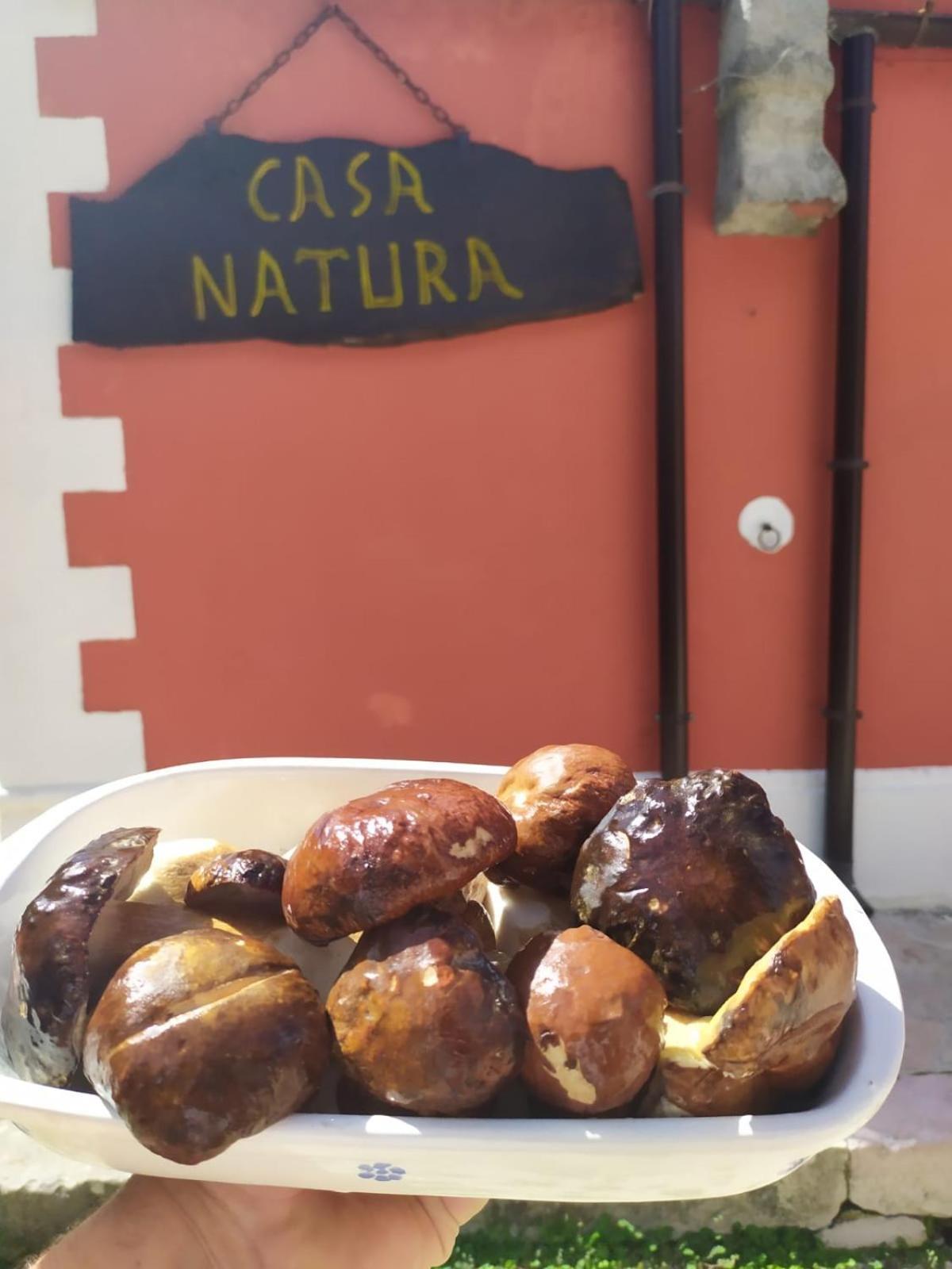 Casa Natura Gargano